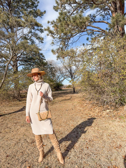 Turtle Neck Sweater Dress