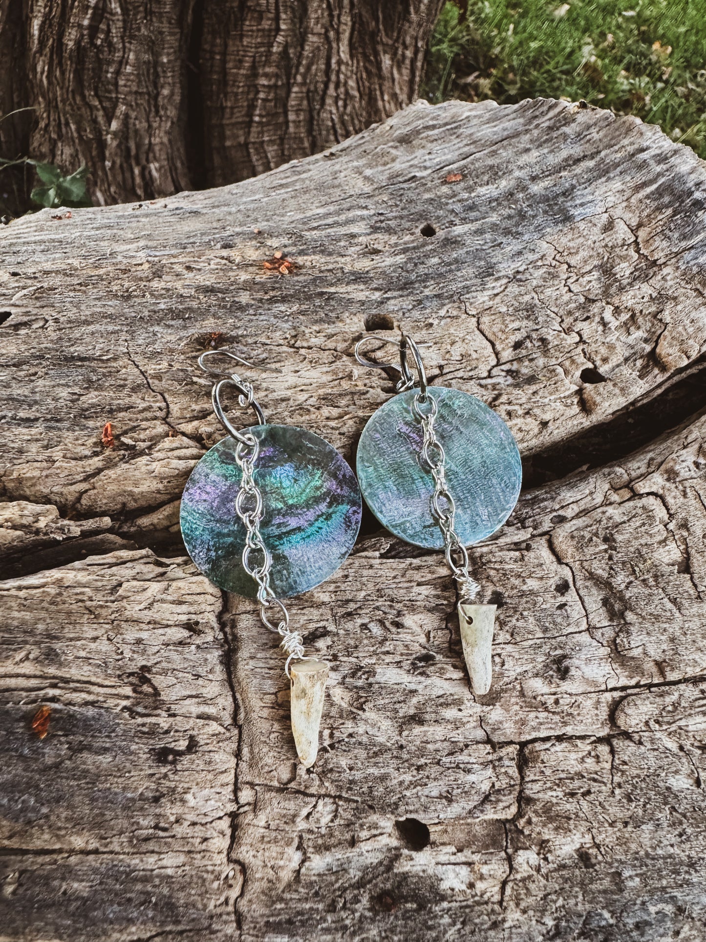 Blue Shell Antler Earrings